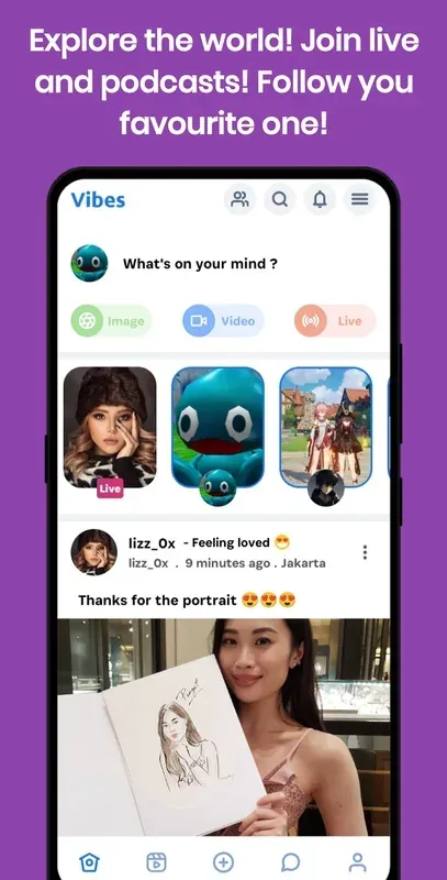 Feed, stories and live.
